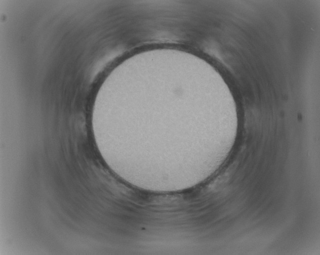 X0000075811307200610061722