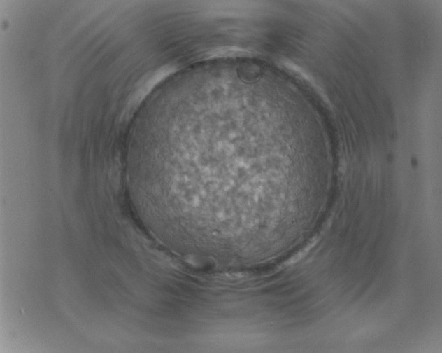 X0000075811313200610061722