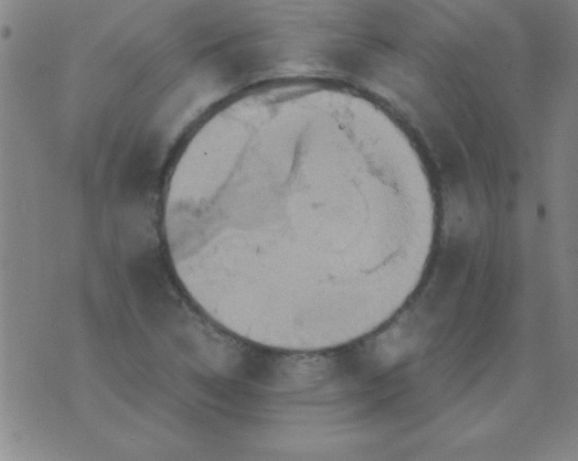 X0000075811314200610061722