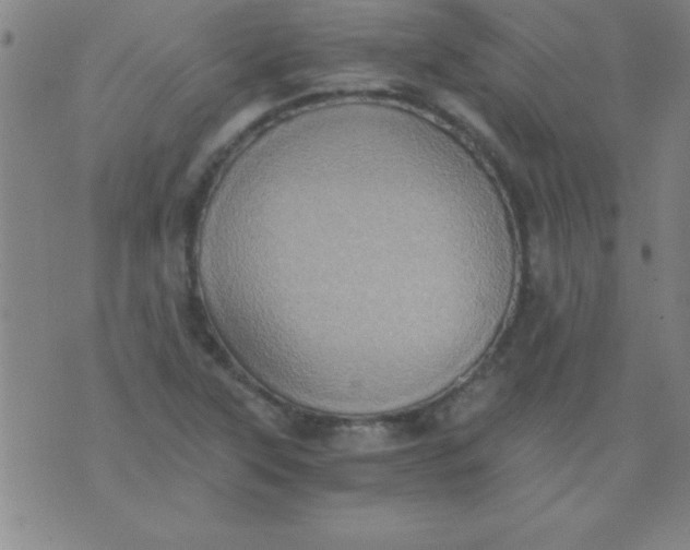 X0000075811315200610061722