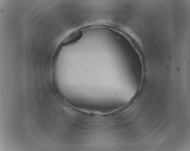 X0000075811316200610061722