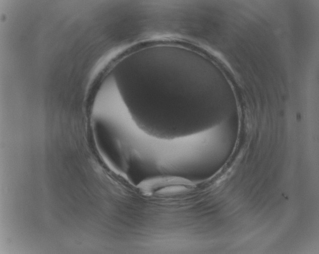 X0000075811319200610061722