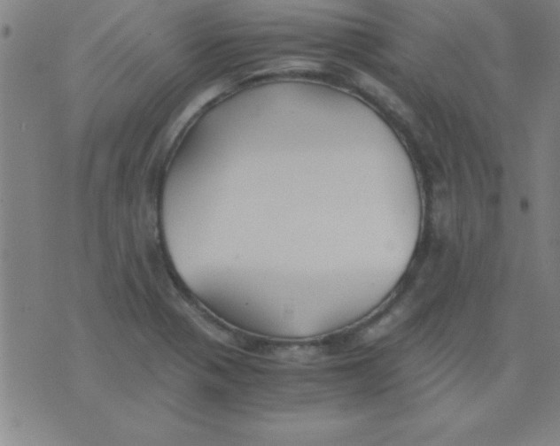 X0000075811321200610061722