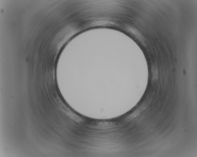 X0000075811322200610061722