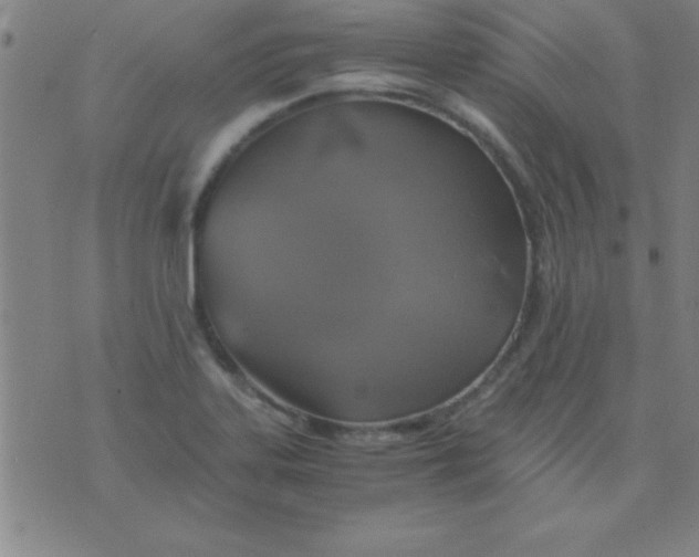 X0000075811323200610061722