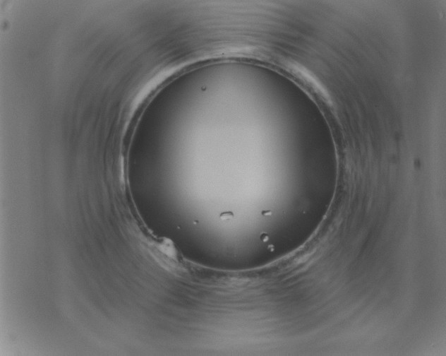 X0000075811324200610061722