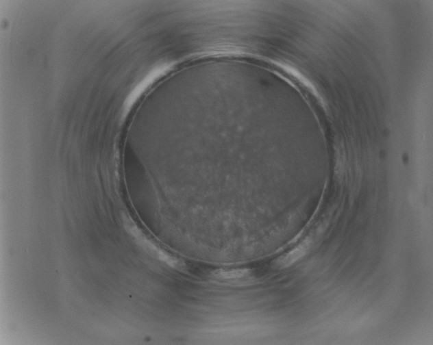 X0000075811325200610061722