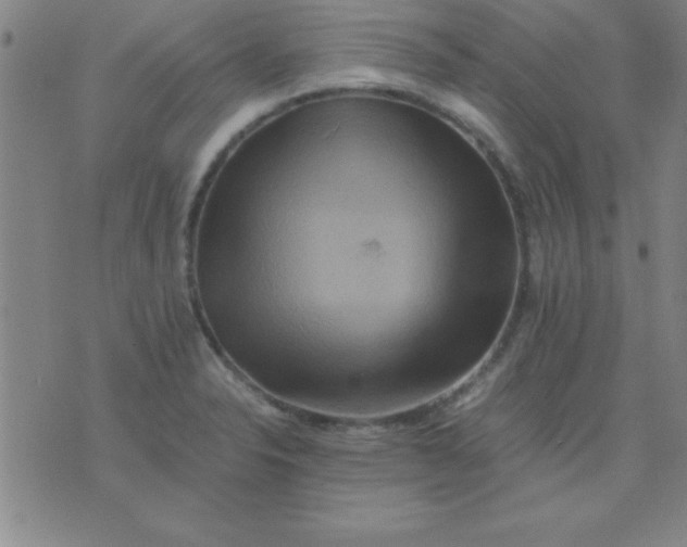 X0000075811326200610061722