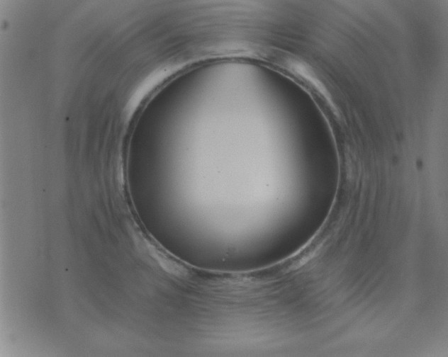 X0000075811328200610061722