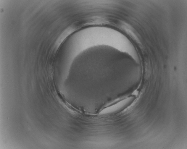 X0000075811329200610061722