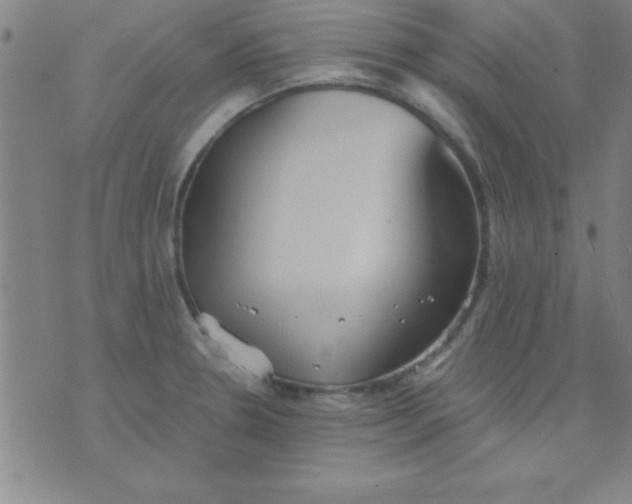 X0000075811330200610061722