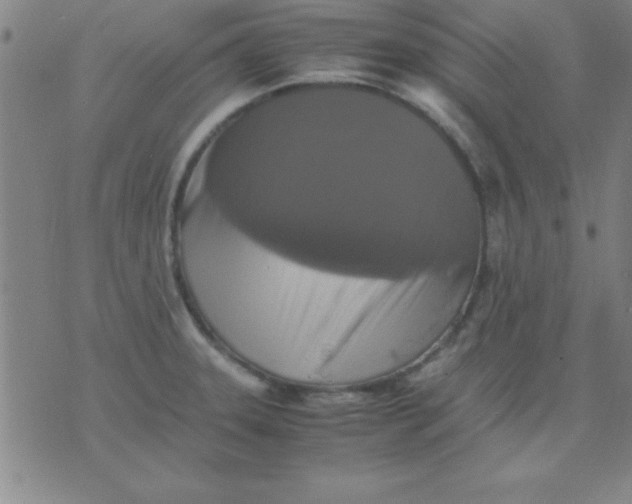 X0000075811331200610061722