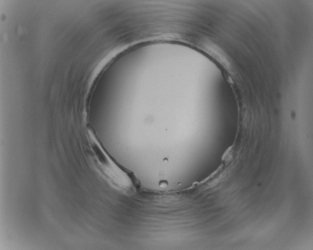 X0000075811332200610061722