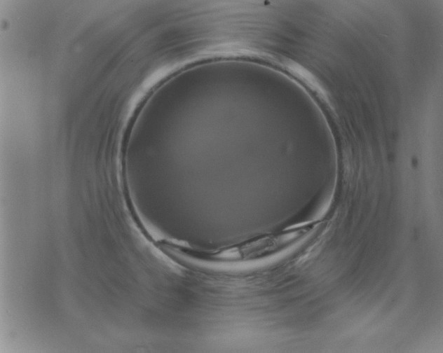 X0000075811334200610061722