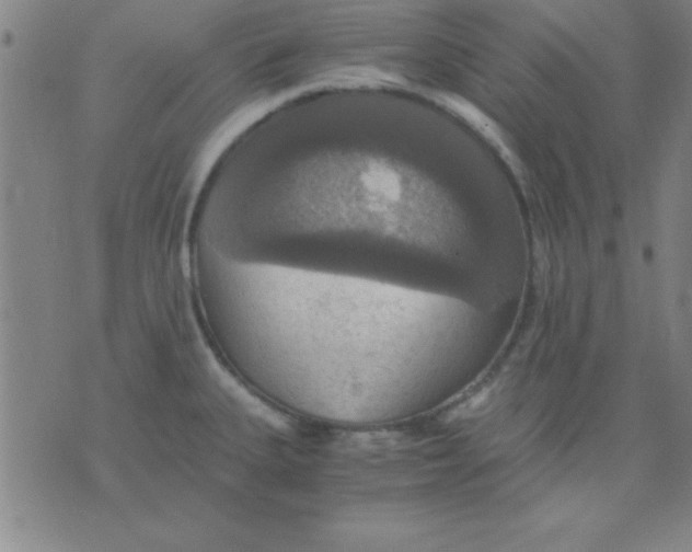 X0000075811335200610061722