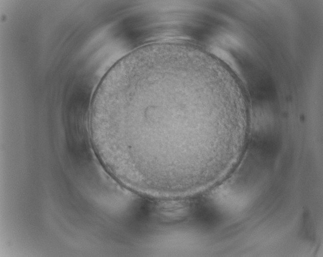 X0000075811338200610061722