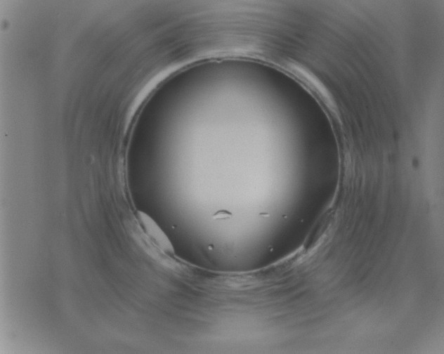 X0000075811340200610061722