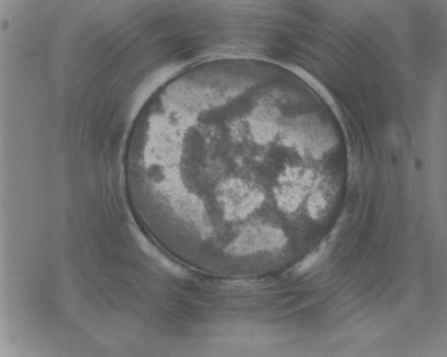 X0000075811341200610061722