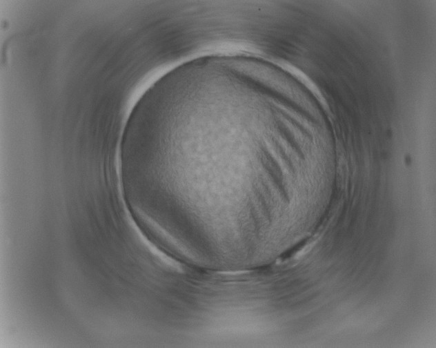 X0000075811343200610061722