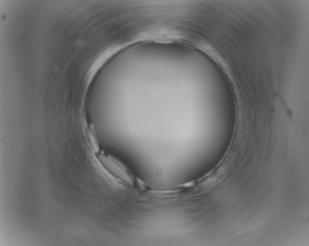 X0000075811344200610061722