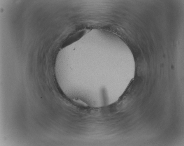 X0000075811345200610061721