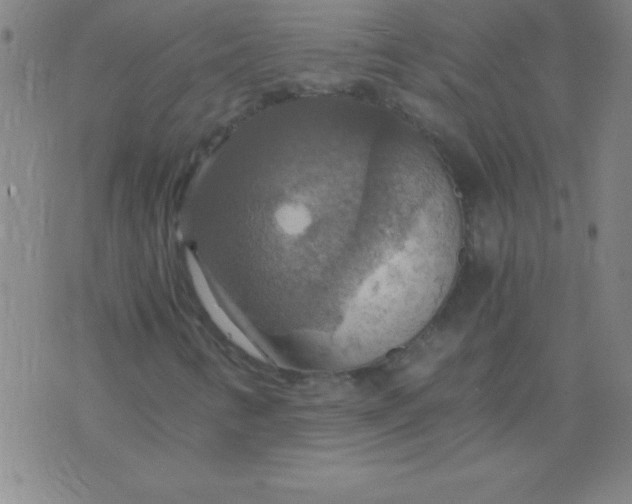 X0000075811346200610061721