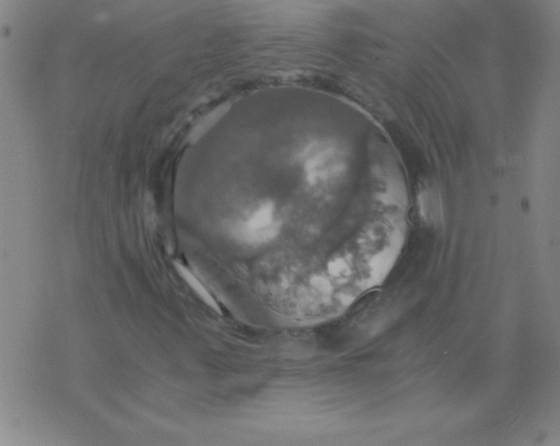 X0000075811347200610061721