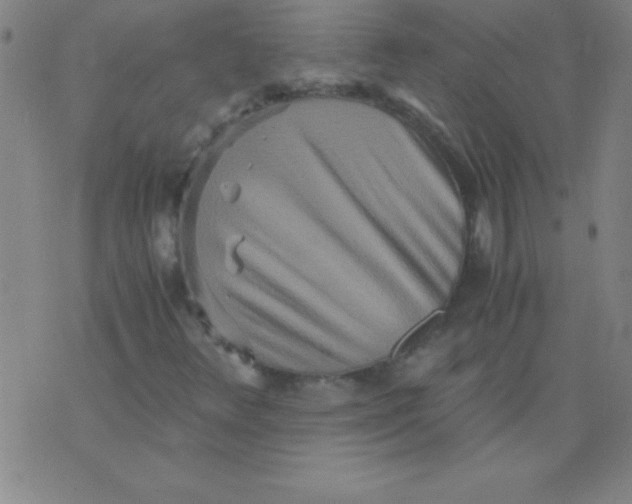 X0000075811348200610061721