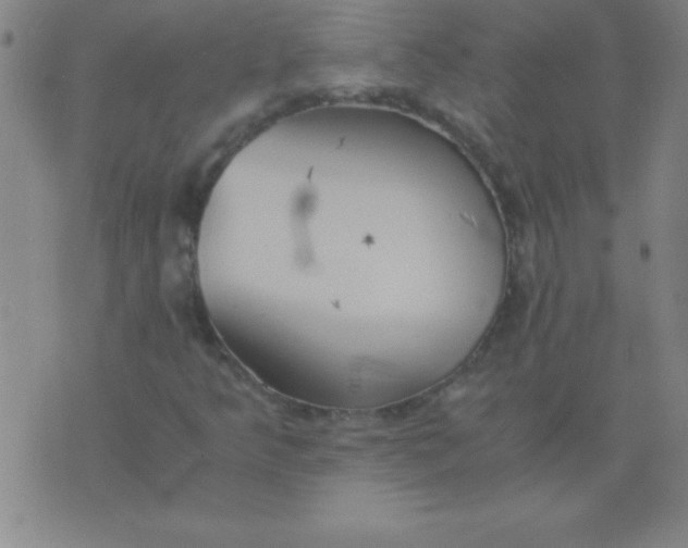 X0000075811349200610061721