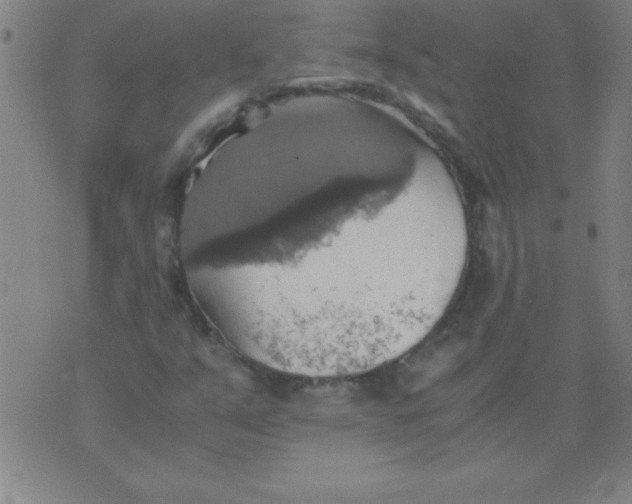 X0000075811351200610061721