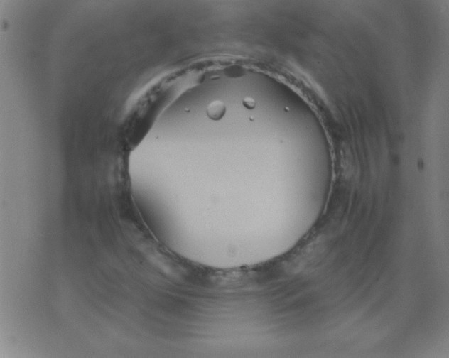 X0000075811352200610061721