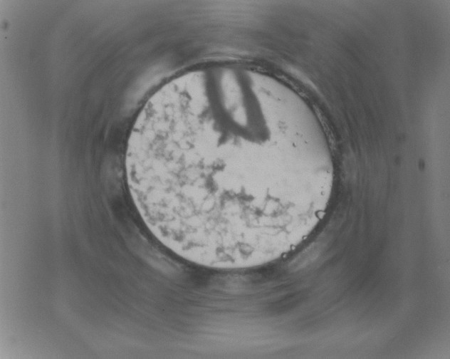 X0000075811355200610061721