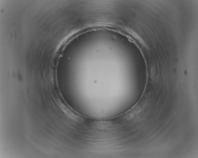 X0000075811356200610061721