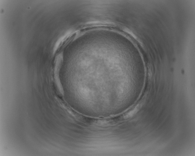 X0000075811357200610061721