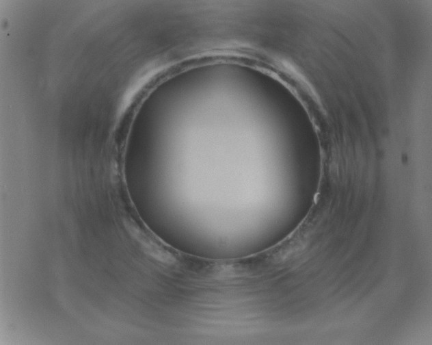 X0000075811360200610061721