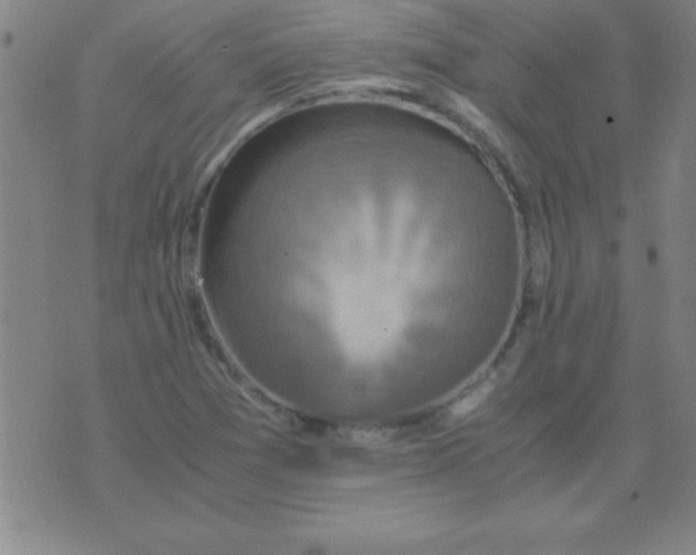 X0000075811361200610061721