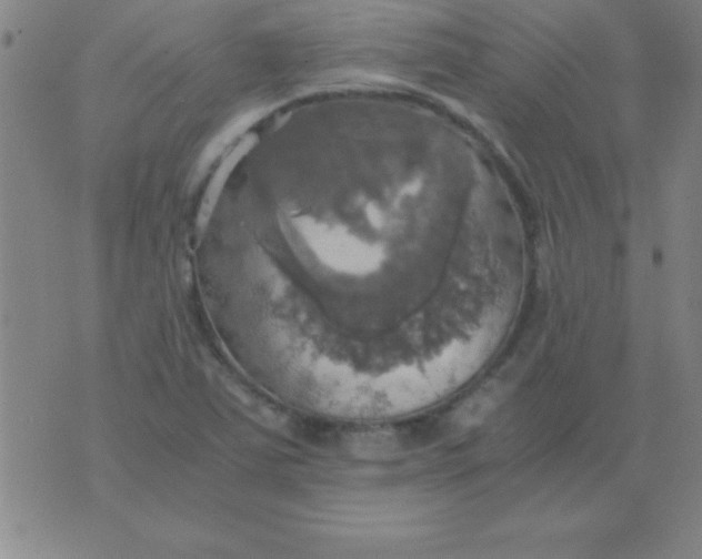 X0000075811363200610061721