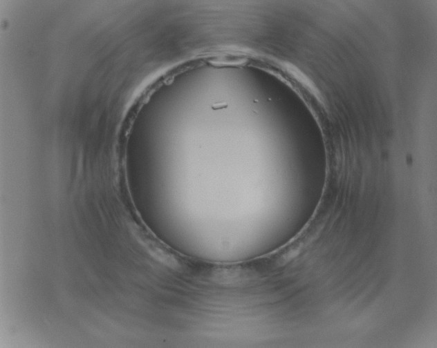 X0000075811364200610061721