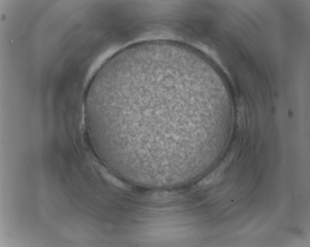 X0000075811366200610061721