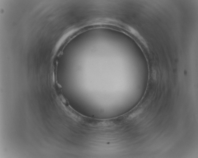 X0000075811368200610061721