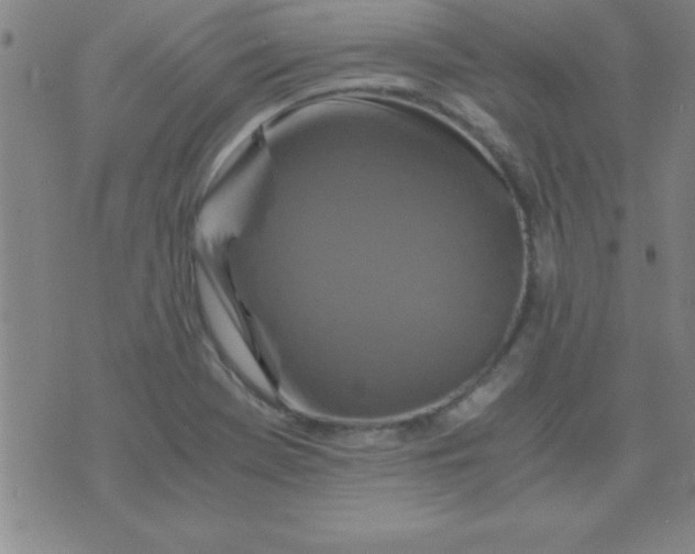 X0000075811369200610061721