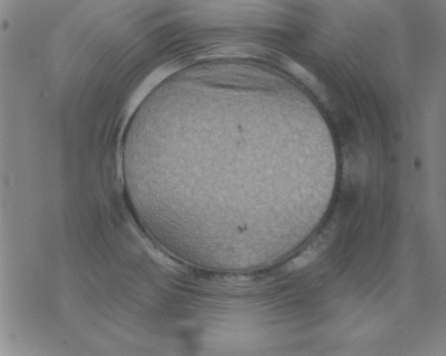 X0000075811370200610061721