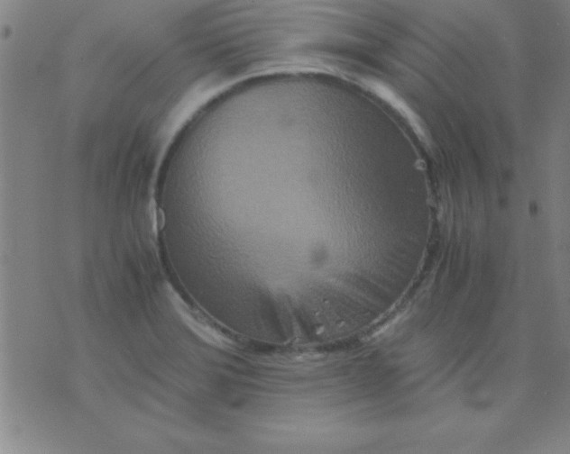 X0000075811372200610061721