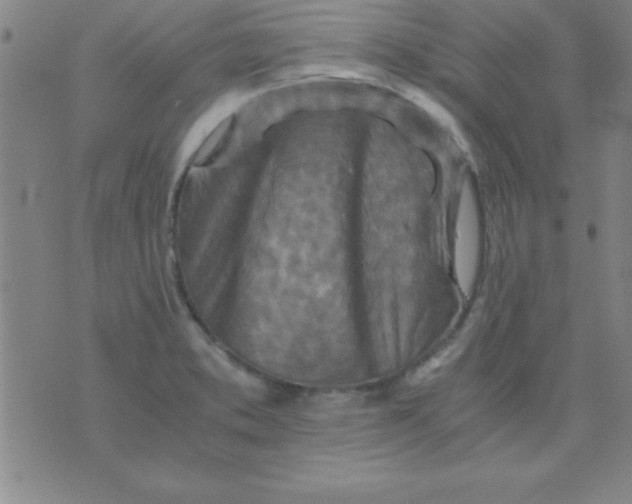 X0000075811373200610061721