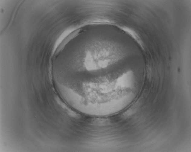 X0000075811374200610061721