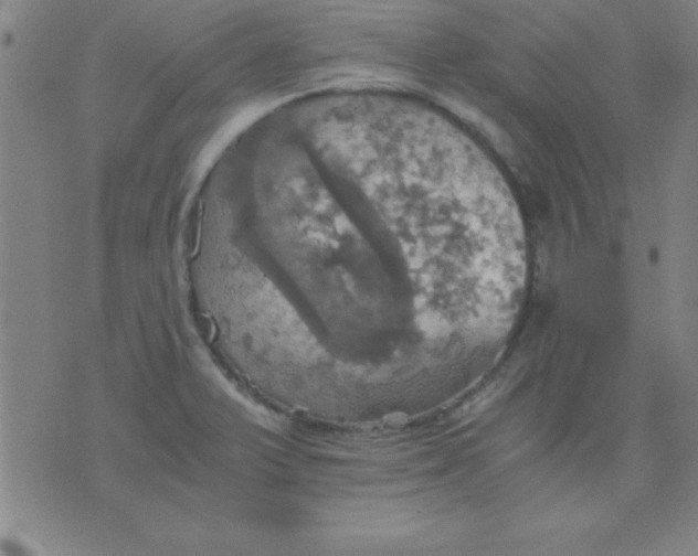 X0000075811375200610061721