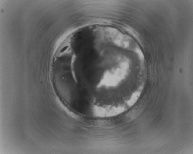 X0000075811379200610061721