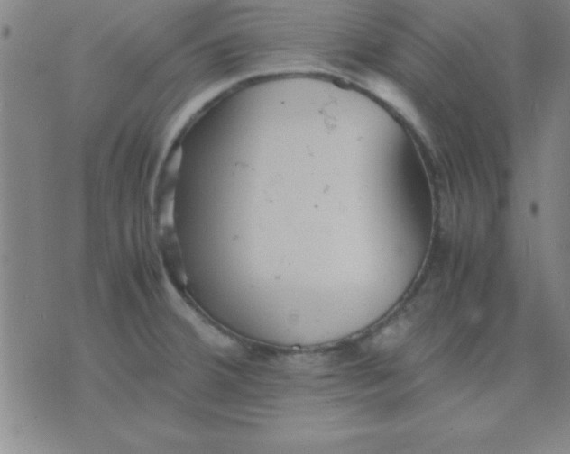 X0000075811380200610061721