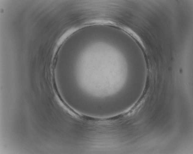 X0000075811381200610061721