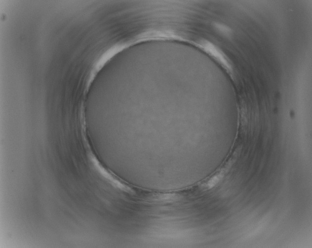 X0000075811382200610061721